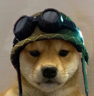 Стикер Больше стиков тут: @stikery4 - 8