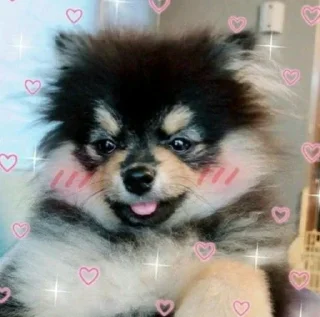 Стикер Больше стиков тут: @stikery4 - 11