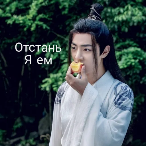 Человек дерево одежда