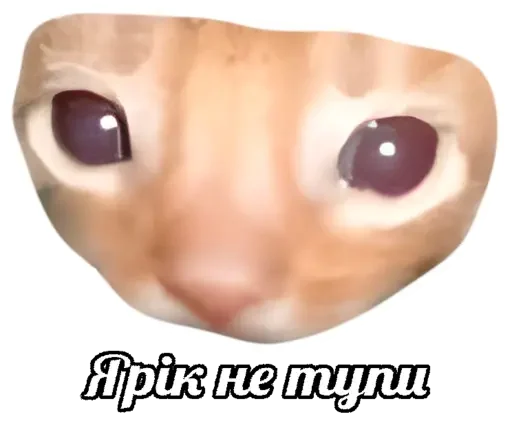 Стикер YMY_Stickerpack_Vol1 - 1