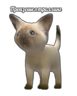 Sticker Стикеры Мудрого Vol. 1 Director`s Cut - 9