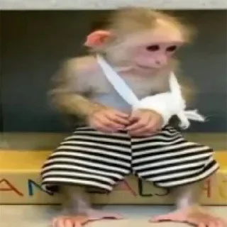 Sticker @stikerk877 - 10