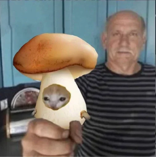 Стикер YOEMNQKFAJ_by_sticker_v_bot - 1