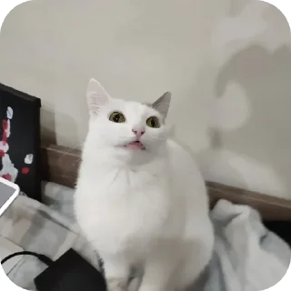 Стикер Ёмаё - 10