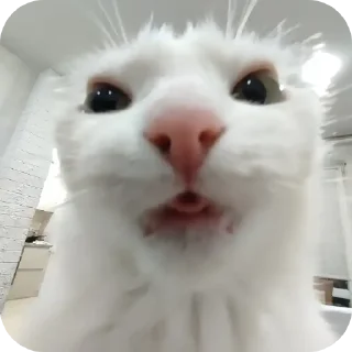 Стикер Ёмаё - 11