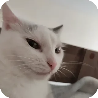 Стикер Ёмаё - 7