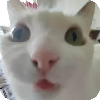 Стикер Ёмаё - 6