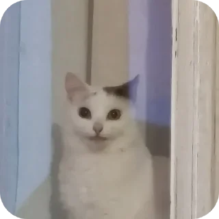 Стикер Ёмаё - 4