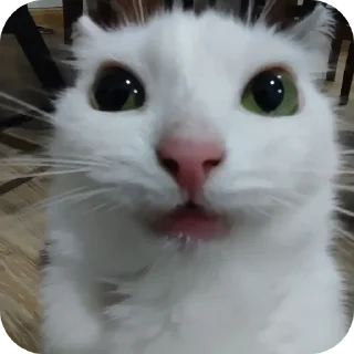 Стикер Ёмаё - 2