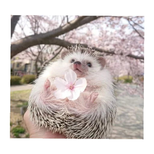 Sticker YOzhik287 - 1