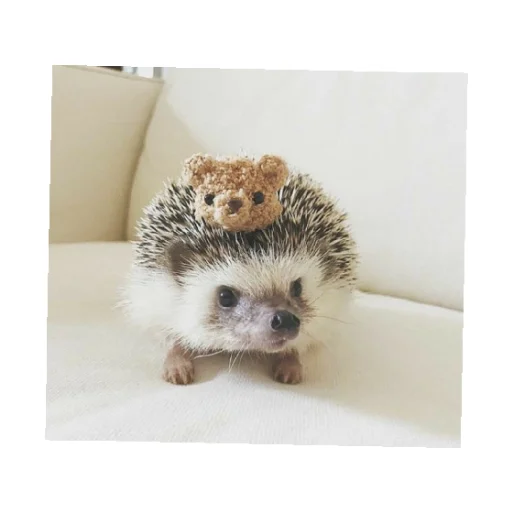 Стикер YOzhik287 - 1