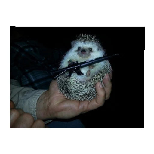 Стикер YOzhik287 - 1