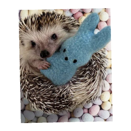 Sticker YOzhik287 - 1