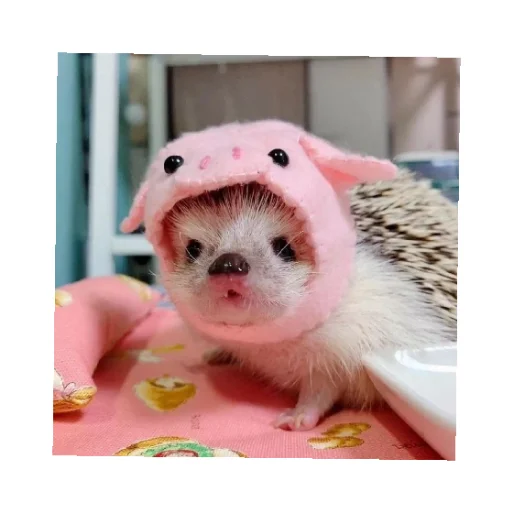 Стикер YOzhik287 - 1