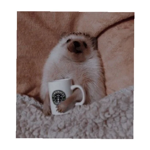 Стикер YOzhik287 - 1