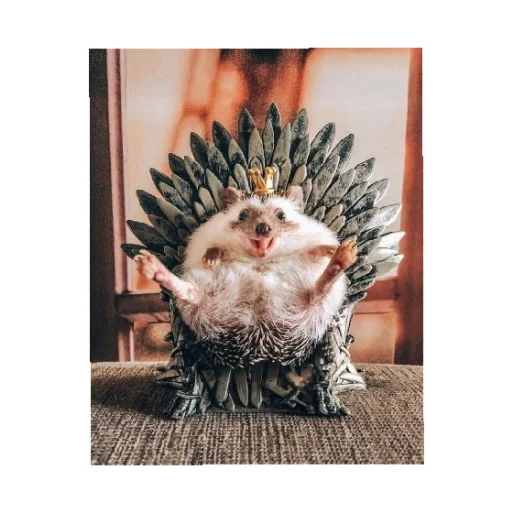 Sticker YOzhik287 - 1