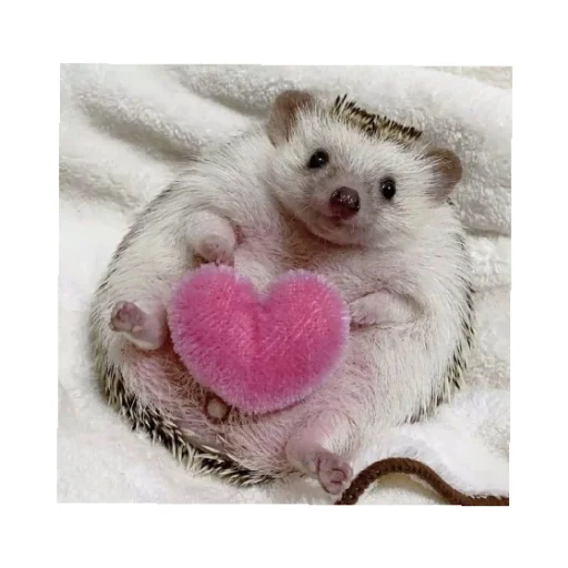 Sticker YOzhik287 - 1