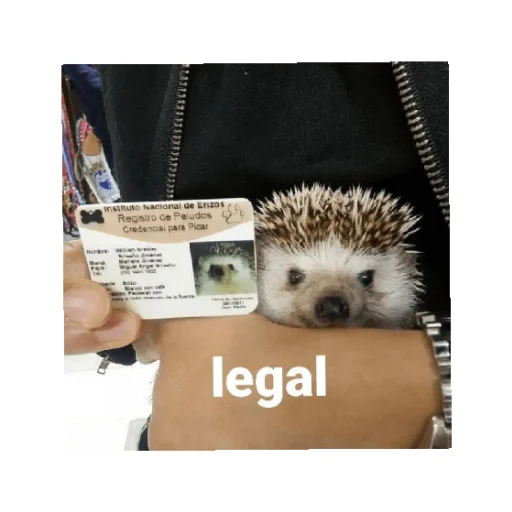 Стикер YOzhik287 - 1