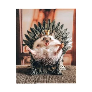 Sticker Ёжик - 10