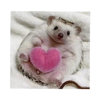 Sticker Ёжик - 8