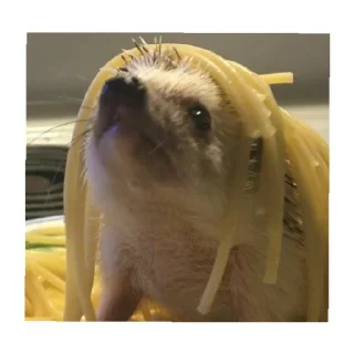 Sticker Ёжик - 9