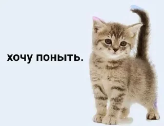 Sticker Больше стикеров 👉🏻 @stickertg4 - 1