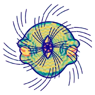 Стикер Больше стиков тут: @stikery4 - 8