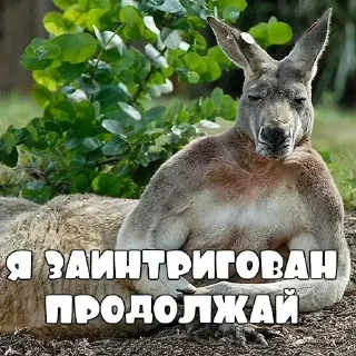 Стикер Стикеры @stikerk877 - 4