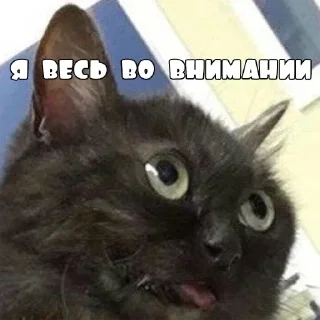 Стикер Стикеры @stikerk877 - 3