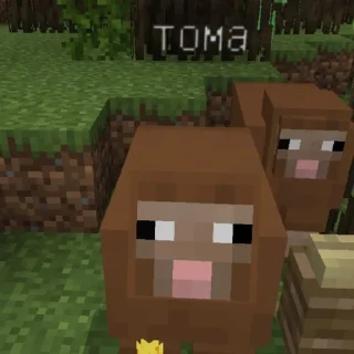 Стикер Мой стикерпак @moyi_stikery_bot - 6