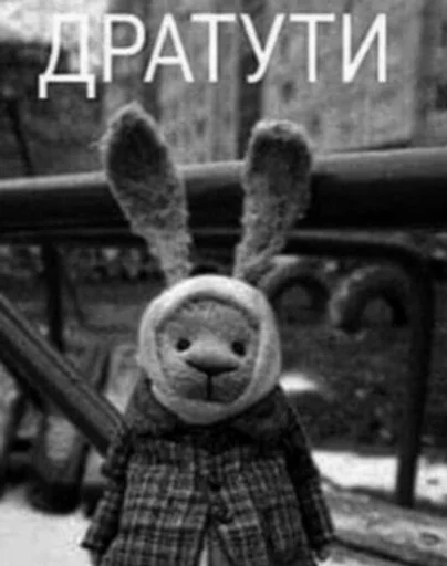 text rabbit outdoor