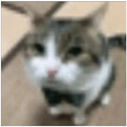 Стикер YUPPIE59 - 1