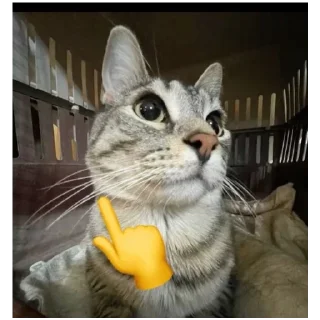 Стикер YUPPIE - 10