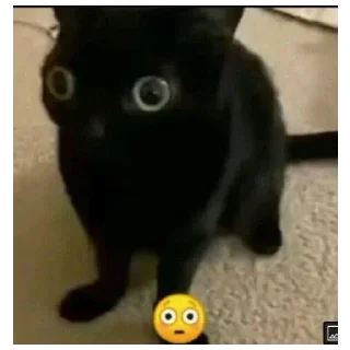 Стикер YUPPIE - 2