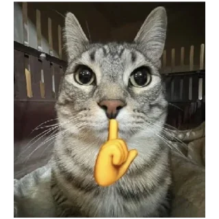 Стикер YUPPIE - 8