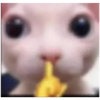 Стикер YUPPIE - 4