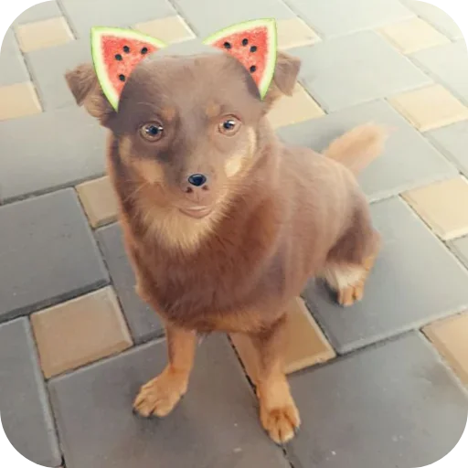 Стикер YUkishiksKannon - 1