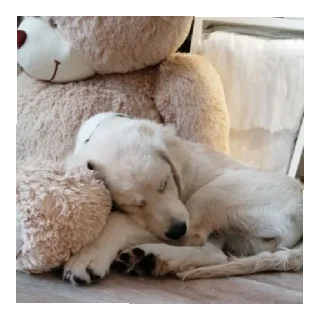 Sticker Юкишна - 8