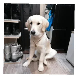 Sticker Юкишна - 7