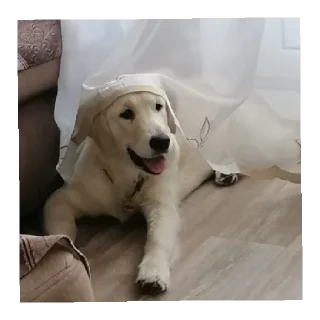 Sticker Юкишна - 6