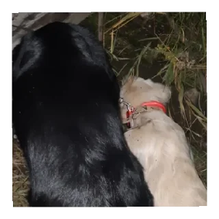 Sticker Юкишна - 10