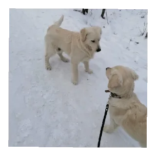 Sticker Юкишна - 9