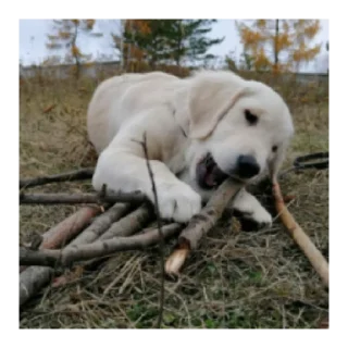 Sticker Юкишна - 3