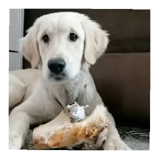 Sticker Юкишна - 11