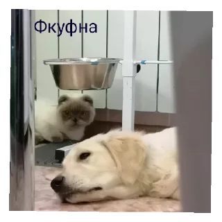 Sticker Юкишна - 4