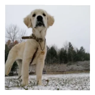 Sticker Юкишна - 2