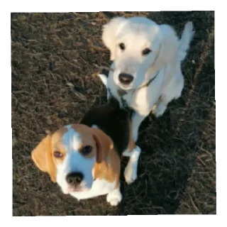 Sticker Юкишна - 1