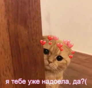 Стикер Мой стикерпак @moyi_stikery_bot - 4