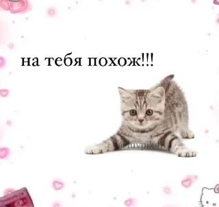 Стикер Мой стикерпак @moyi_stikery_bot - 7