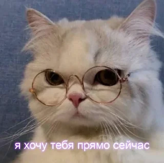 Стикер Мой стикерпак @moyi_stikery_bot - 1